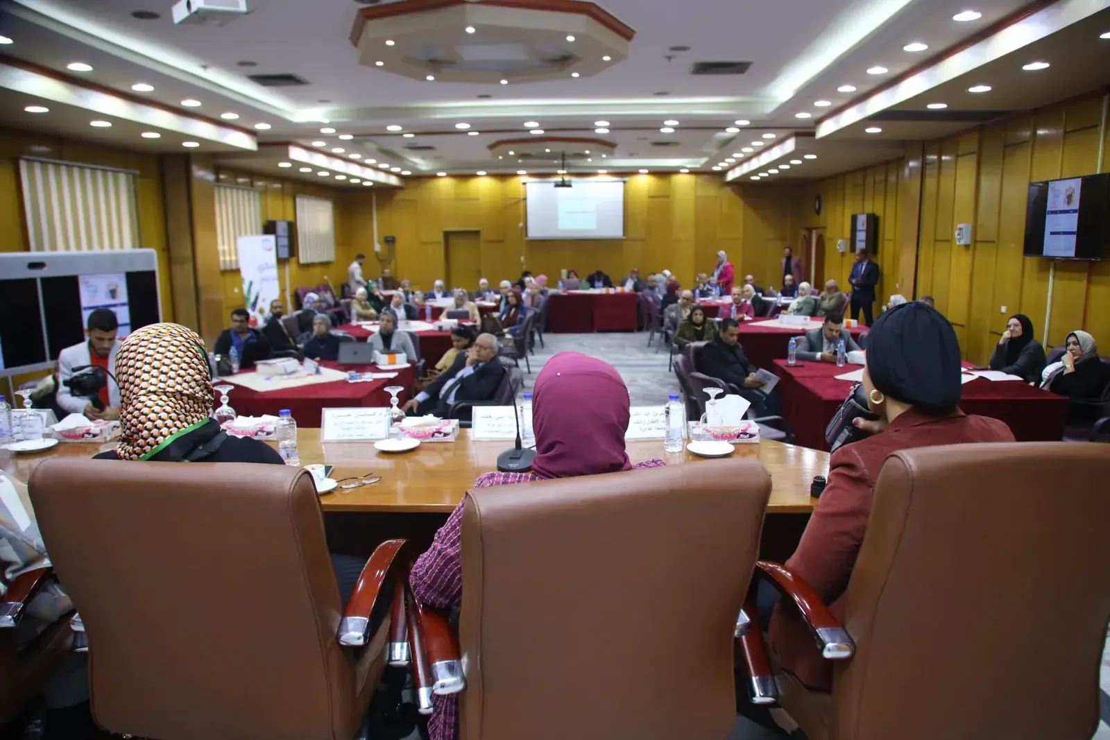 Diabetes 360 physician training programme across three waves in Egypt — photo 4 of 20
